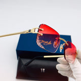 LUNETTES NOUVELLE R DE 12EME ART